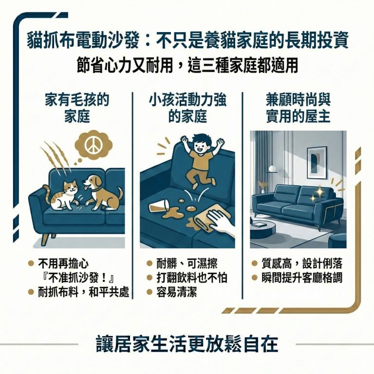 除了有寵物的家庭以外,小孩活動力很強的家庭,也很適合買貓抓布電動沙發
