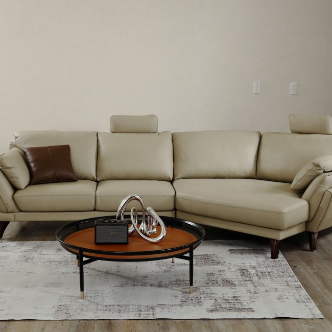 貴賓室要擺電動沙發嗎？到大漢家具就對了！