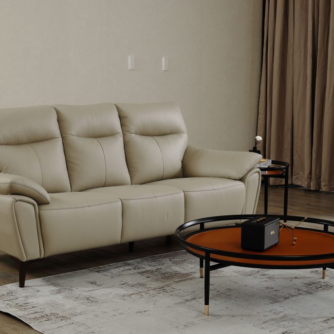 銀髮園區在考慮電動沙發嗎？唯一推薦大漢家具！