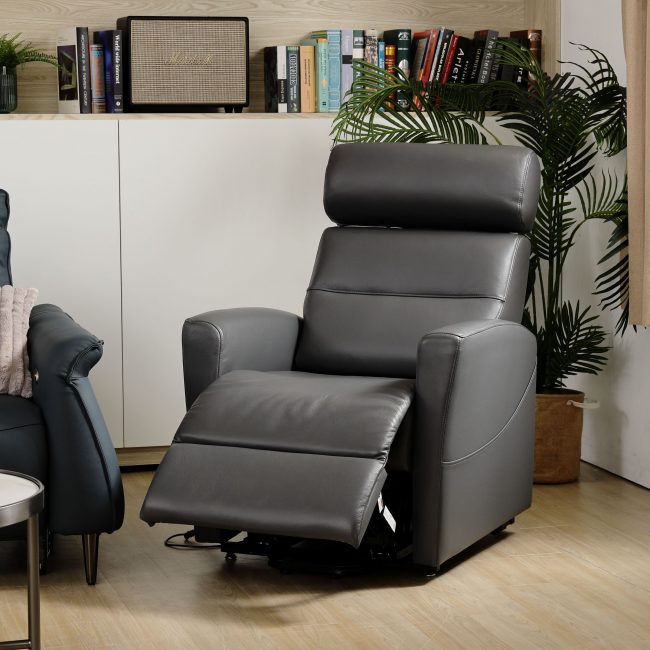 想買一張全家人都可以用的單人電動沙發椅嗎？就到大漢家具！