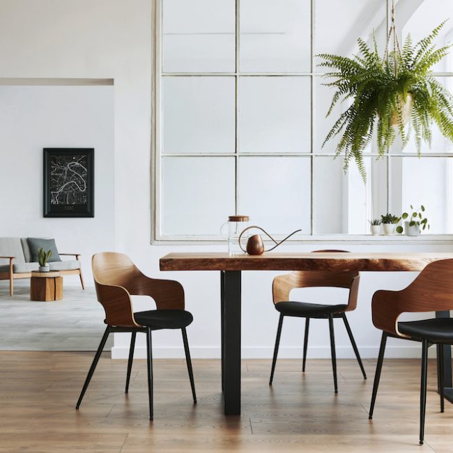 Stylish and botany interior of dining room with design craft wooden table, chairs, a lof of plants, window, poster map and elegant accessories in modern home decor. Template.